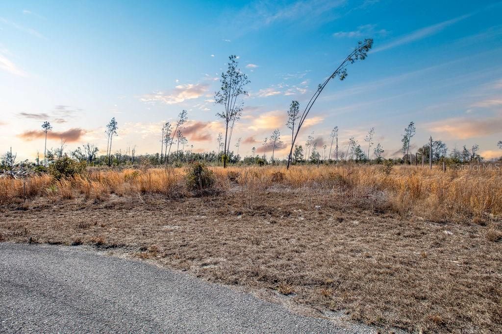 待售: $65,000 (5.02 acres)