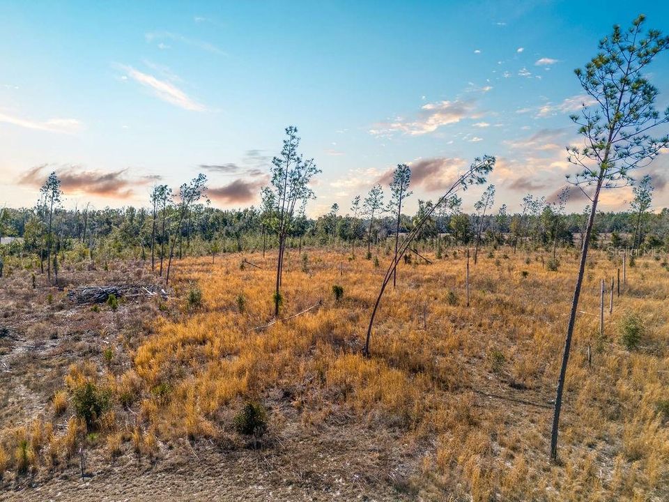 待售: $65,000 (5.02 acres)