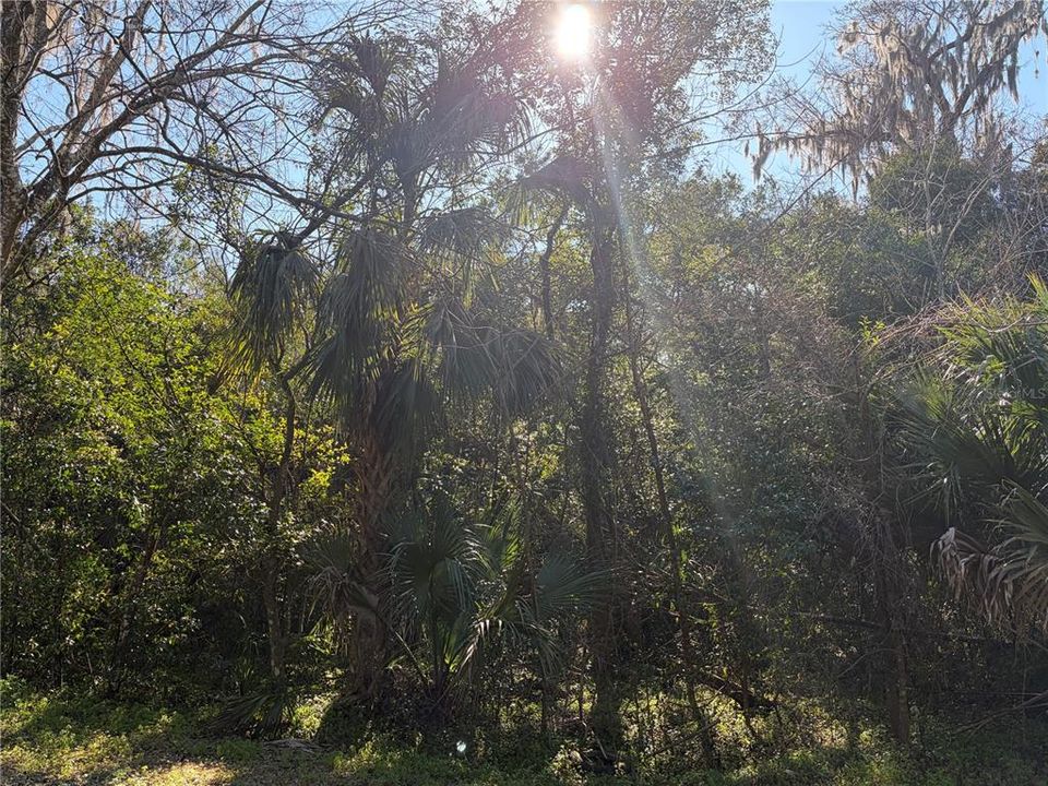 En Venta: $47,000 (0.24 acres)