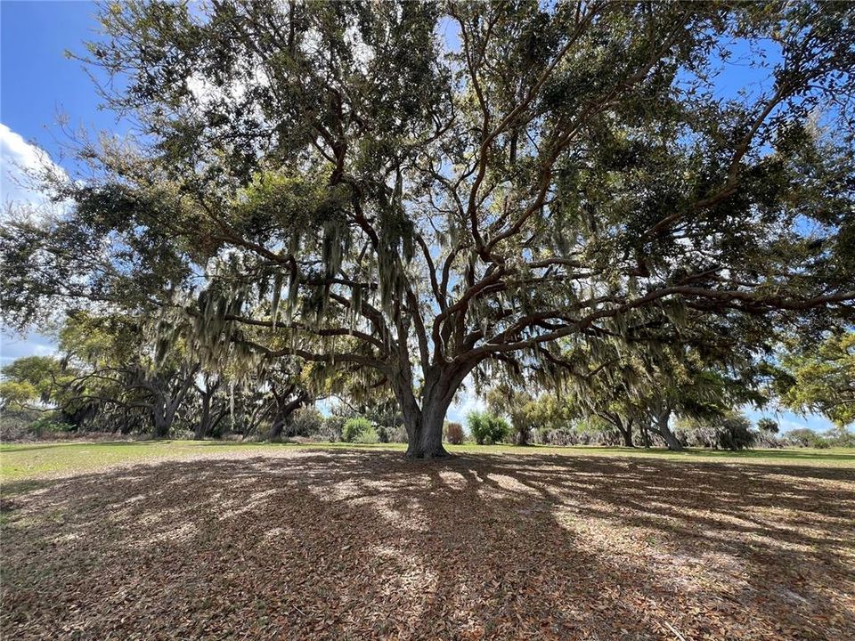 Active With Contract: $475,000 (5.10 acres)