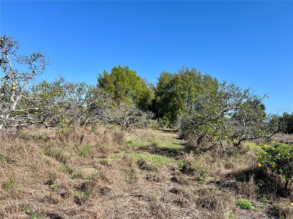 Active With Contract: $475,000 (5.10 acres)