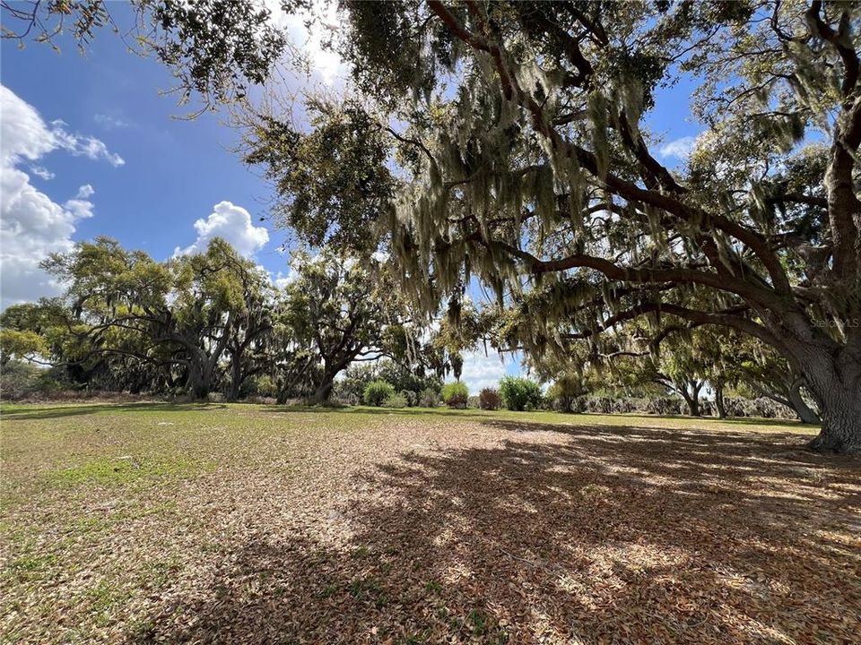 Active With Contract: $475,000 (5.10 acres)