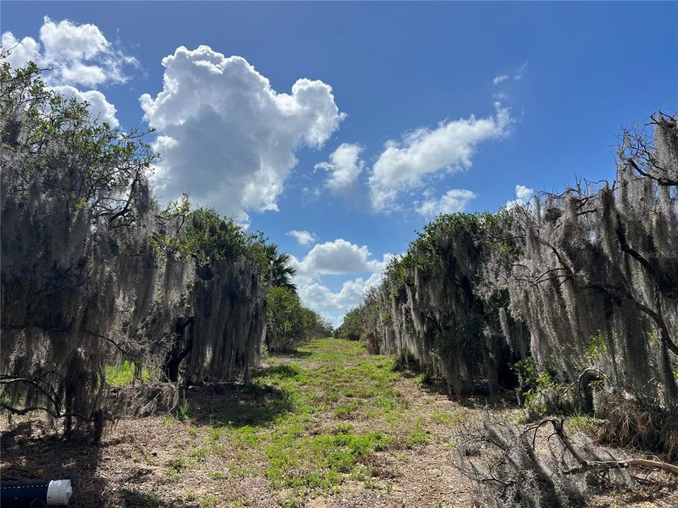 Active With Contract: $475,000 (5.10 acres)