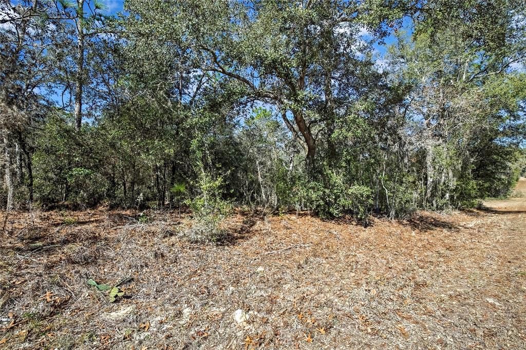 待售: $35,000 (0.97 acres)