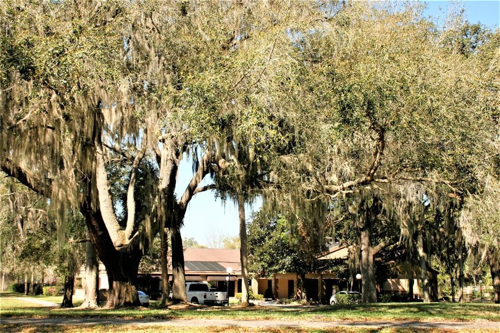 待售: $124,700 (0.40 acres)