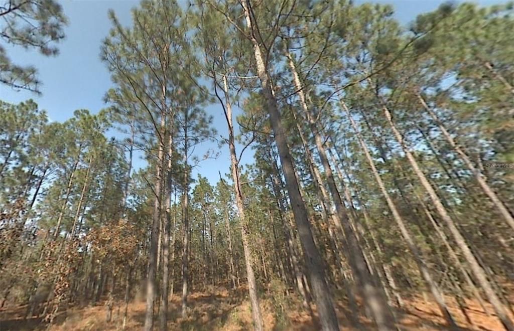 待售: $30,000 (0.92 acres)