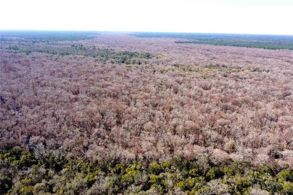 En Venta: $225,000 (14.88 acres)
