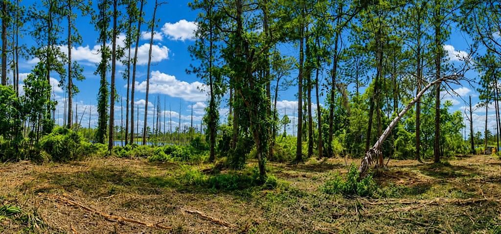 For Sale: $130,000 (11.11 acres)
