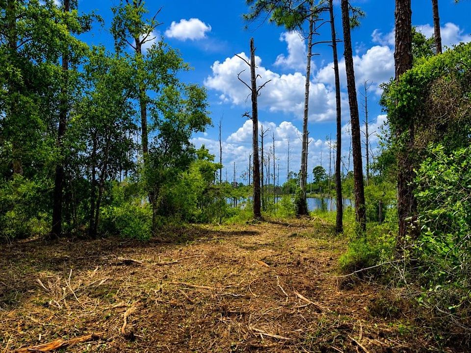 For Sale: $130,000 (11.11 acres)
