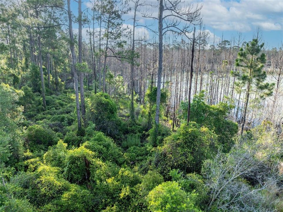 For Sale: $130,000 (11.11 acres)