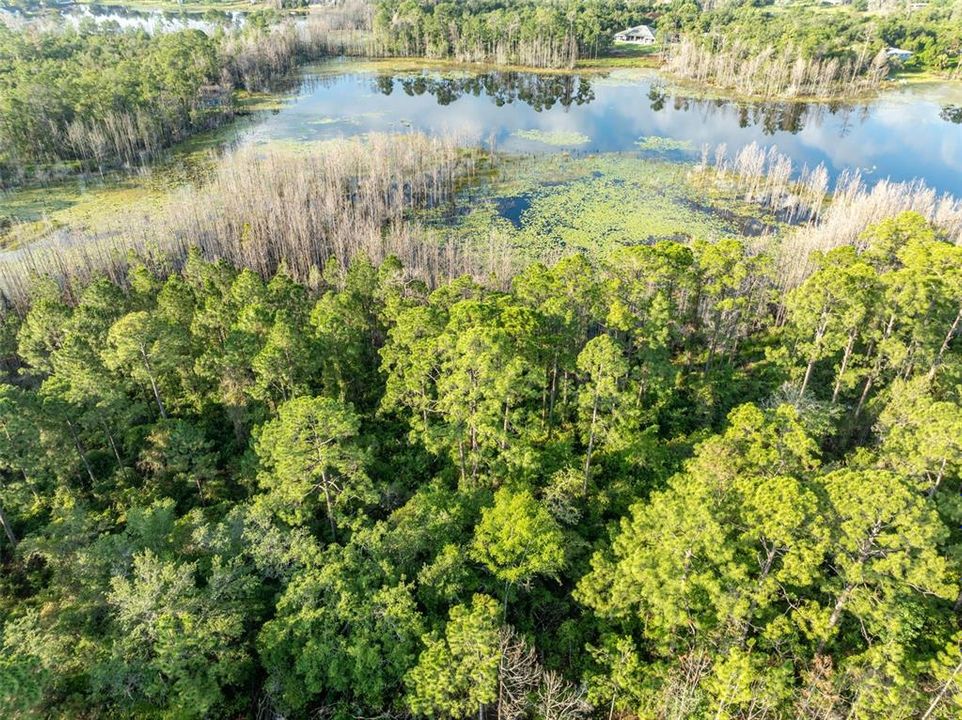 For Sale: $130,000 (11.11 acres)