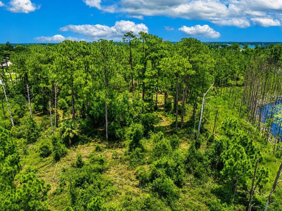 For Sale: $130,000 (11.11 acres)