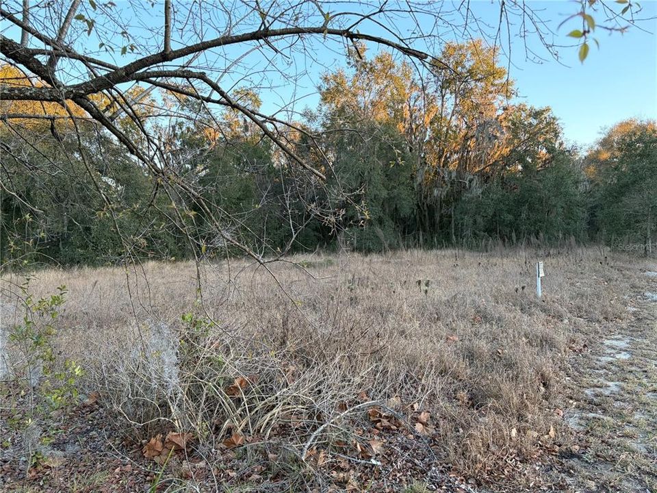 待售: $165,000 (1.67 acres)
