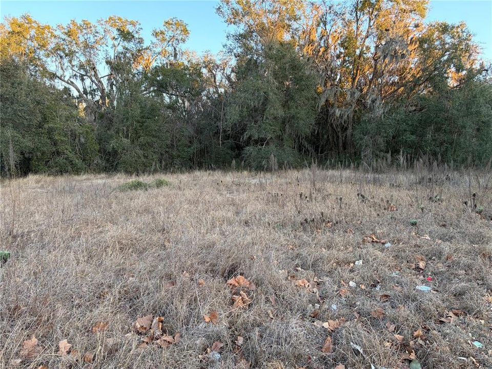待售: $165,000 (1.67 acres)