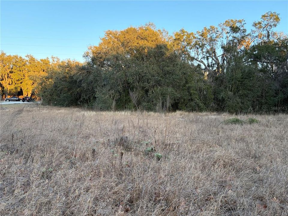 待售: $165,000 (1.67 acres)