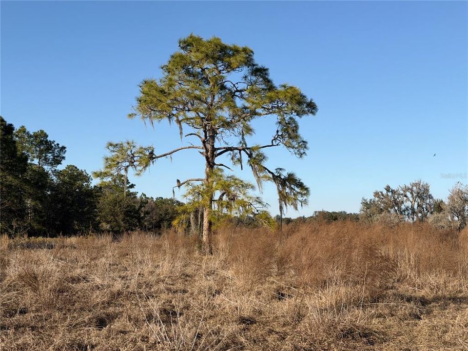 На продажу: $2,000,000 (100.41 acres)