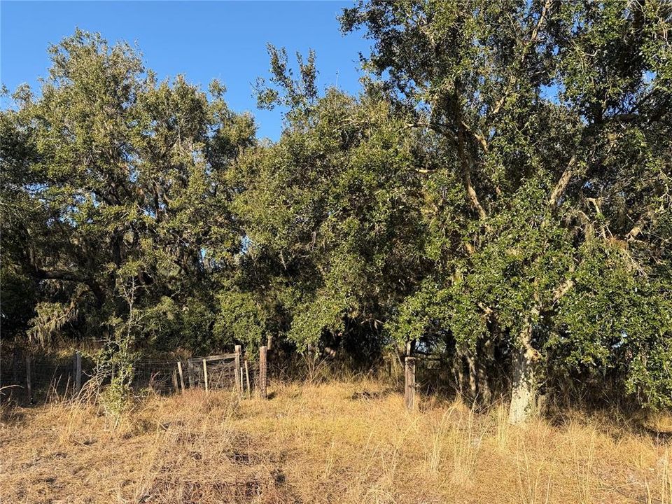 На продажу: $2,000,000 (100.41 acres)