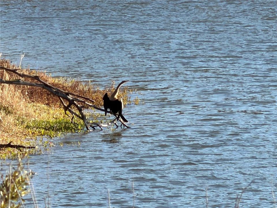 На продажу: $2,000,000 (100.41 acres)