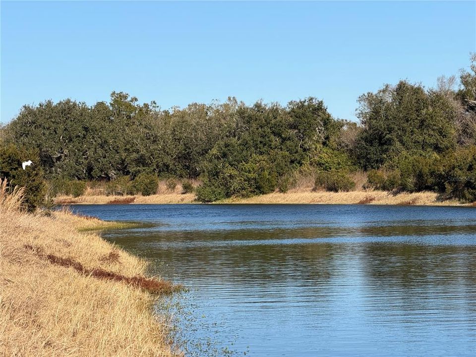 На продажу: $2,000,000 (100.41 acres)