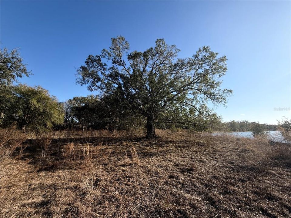 На продажу: $2,000,000 (100.41 acres)