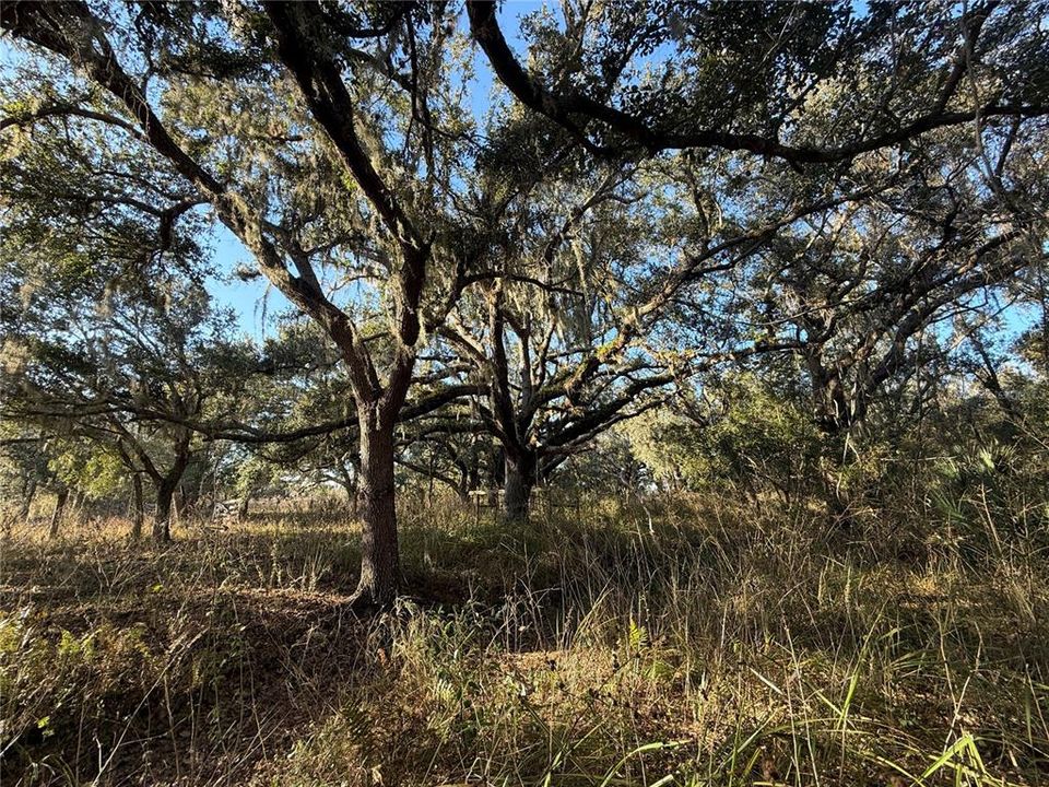 На продажу: $2,000,000 (100.41 acres)
