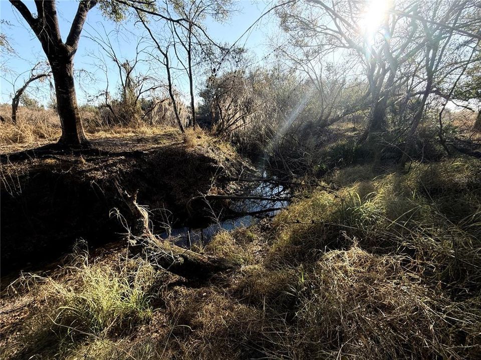 На продажу: $2,000,000 (100.41 acres)