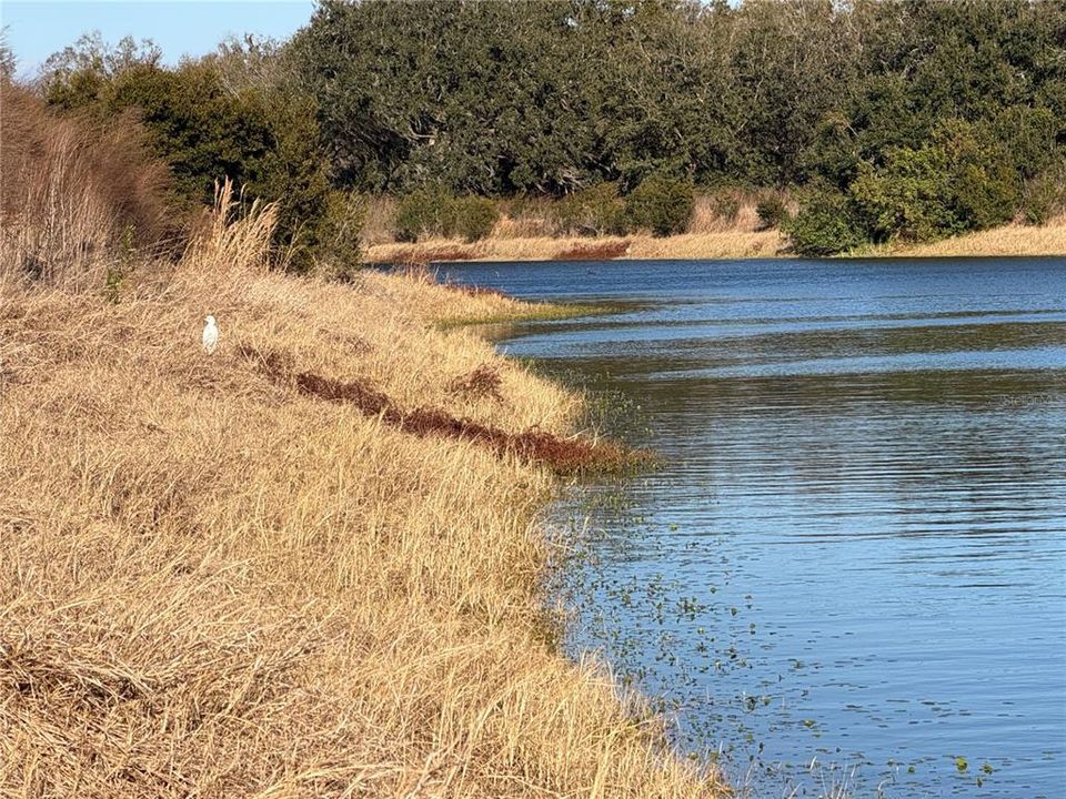 На продажу: $2,000,000 (100.41 acres)