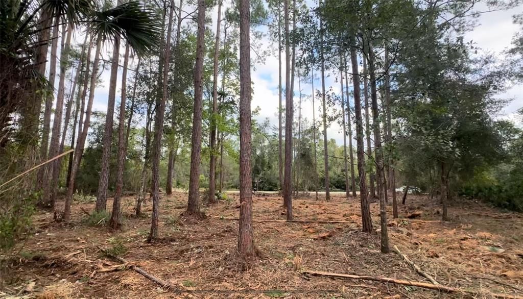 For Sale: $17,000 (0.34 acres)