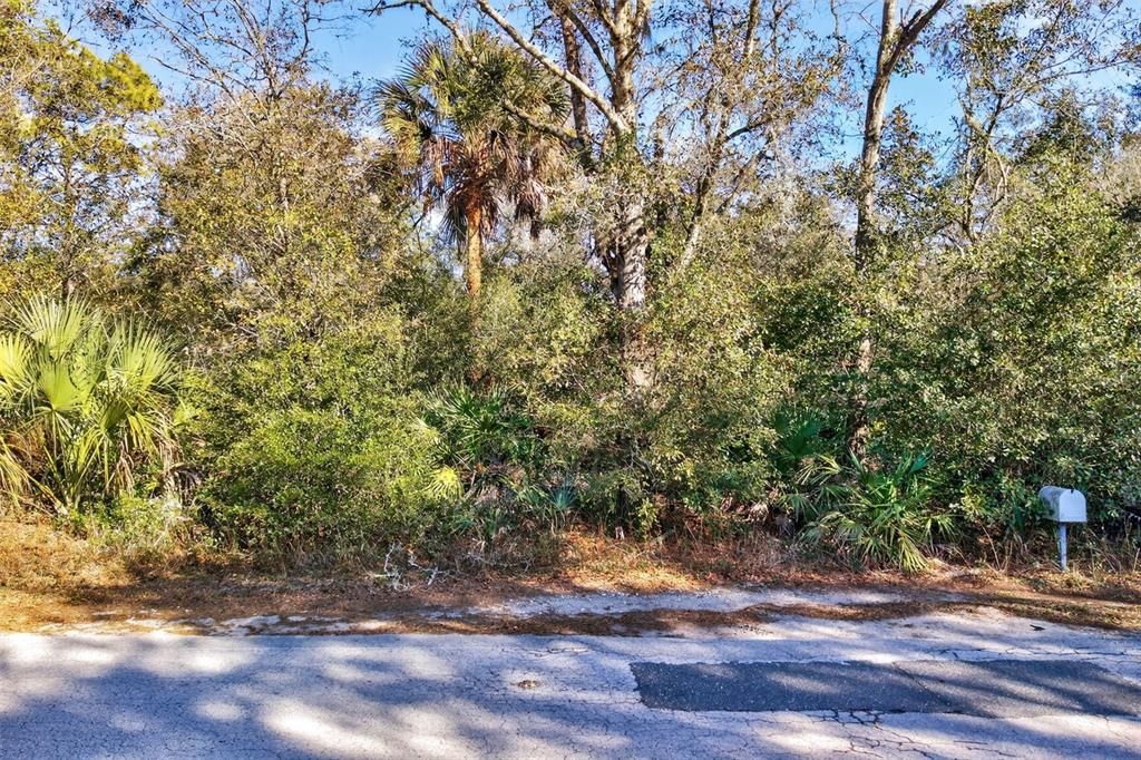 待售: $70,000 (2.44 acres)