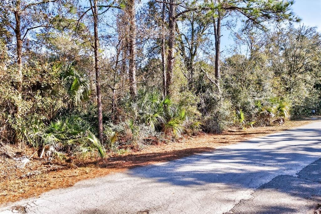 待售: $70,000 (2.44 acres)