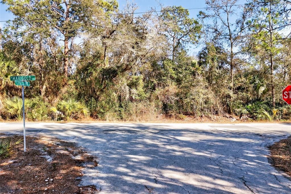 待售: $70,000 (2.44 acres)