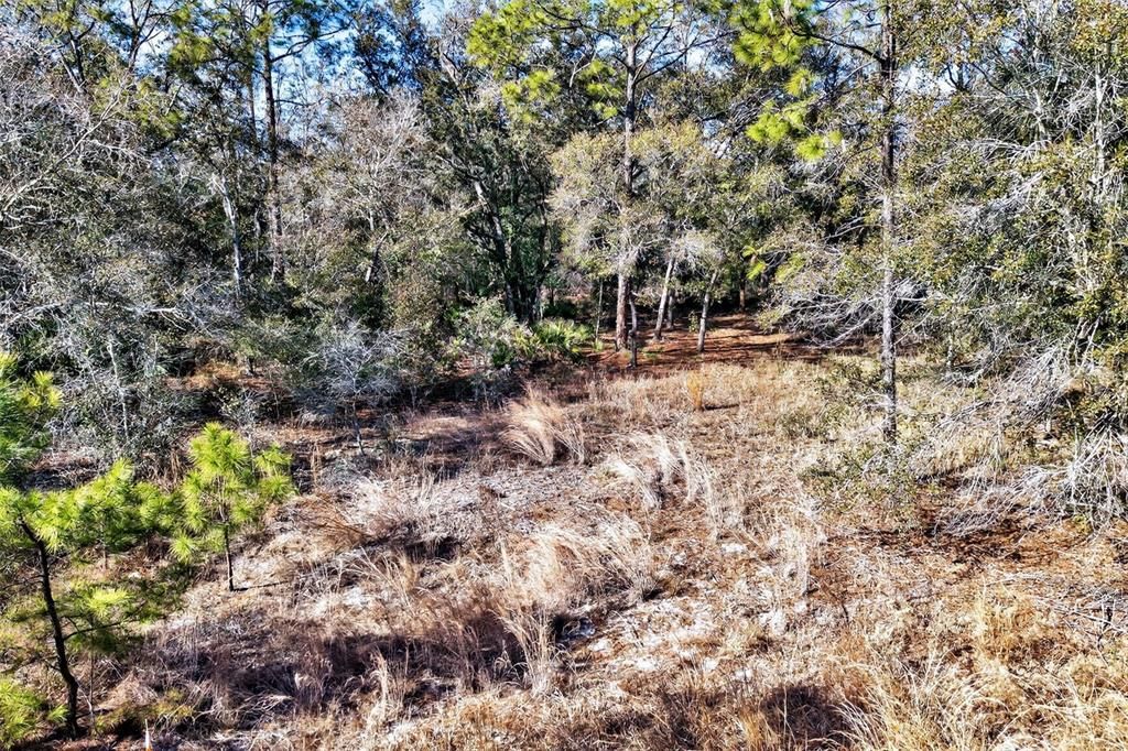 待售: $70,000 (2.44 acres)