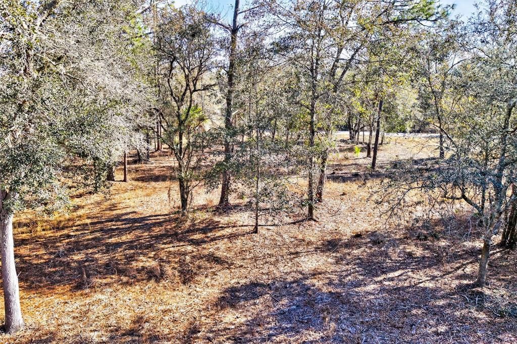 待售: $70,000 (2.44 acres)