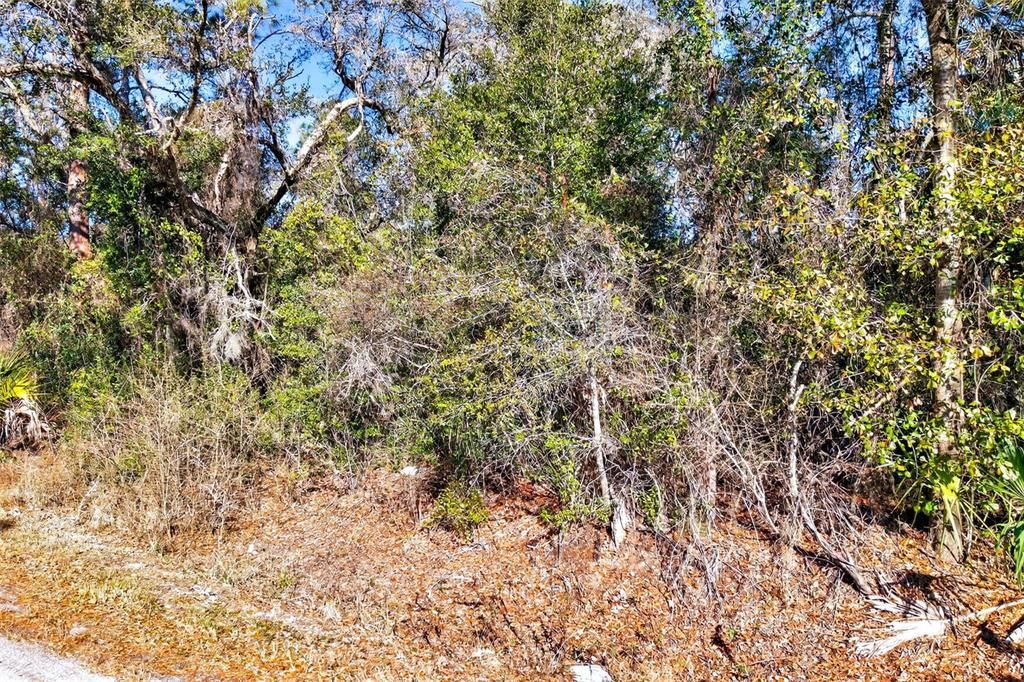 待售: $70,000 (2.44 acres)