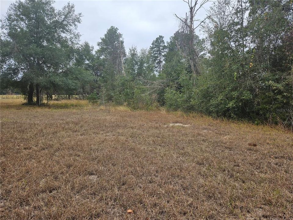 На продажу: $149,000 (2.03 acres)