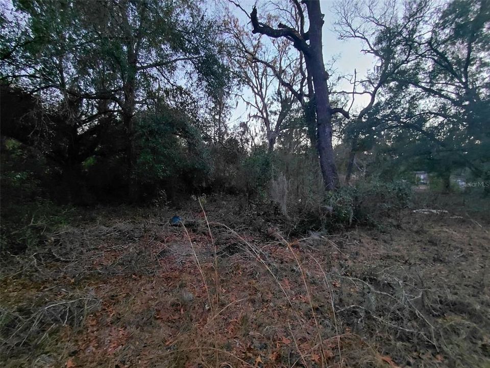 For Sale: $59,000 (0.43 acres)
