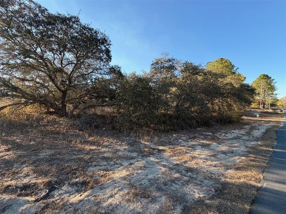 合同活跃: $20,000 (0.29 acres)