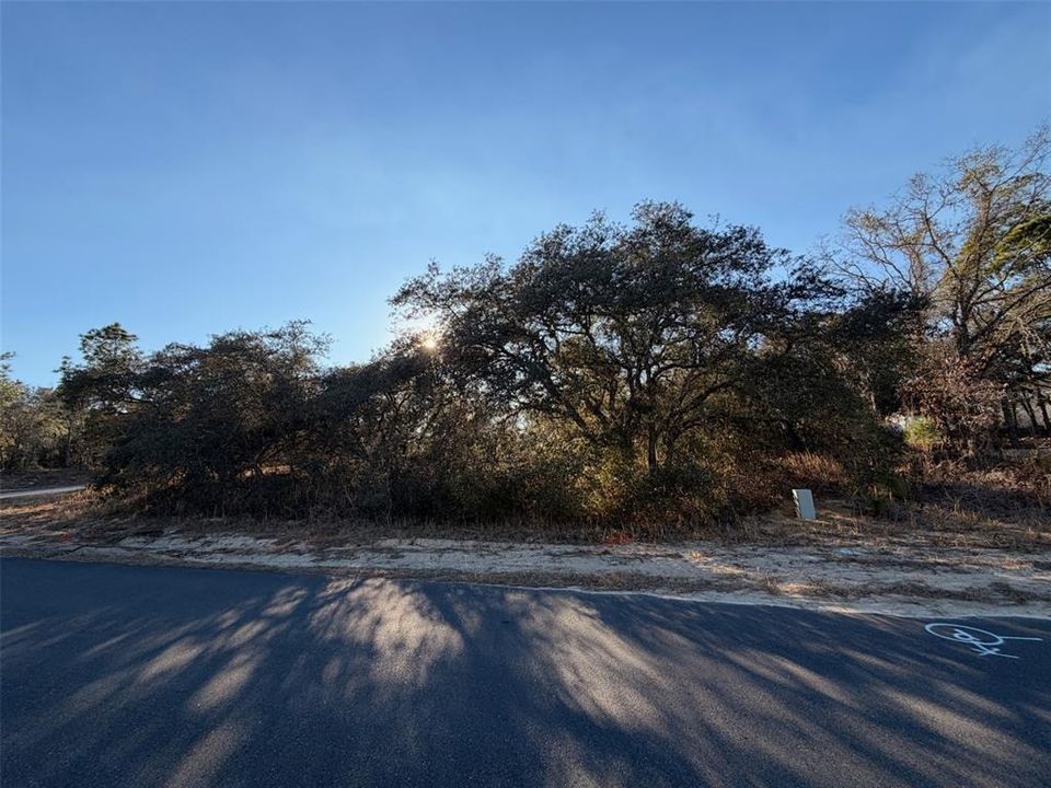 合同活跃: $20,000 (0.29 acres)