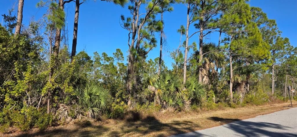 En Venta: $19,900 (0.23 acres)