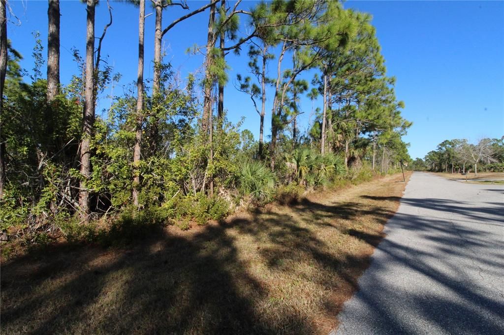 En Venta: $19,900 (0.23 acres)