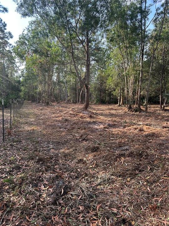 待售: $269,000 (5.00 acres)