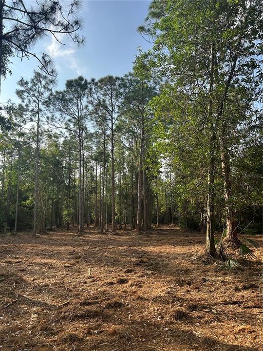 待售: $269,000 (5.00 acres)