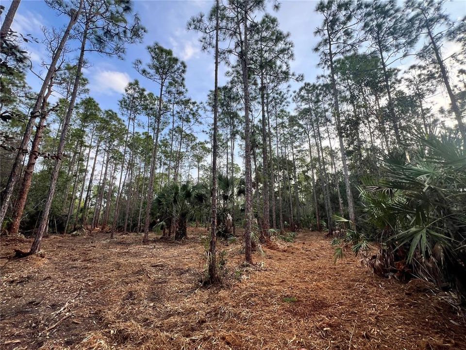 待售: $269,000 (5.00 acres)