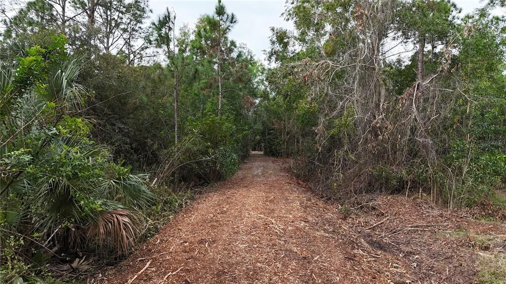 待售: $269,000 (5.00 acres)