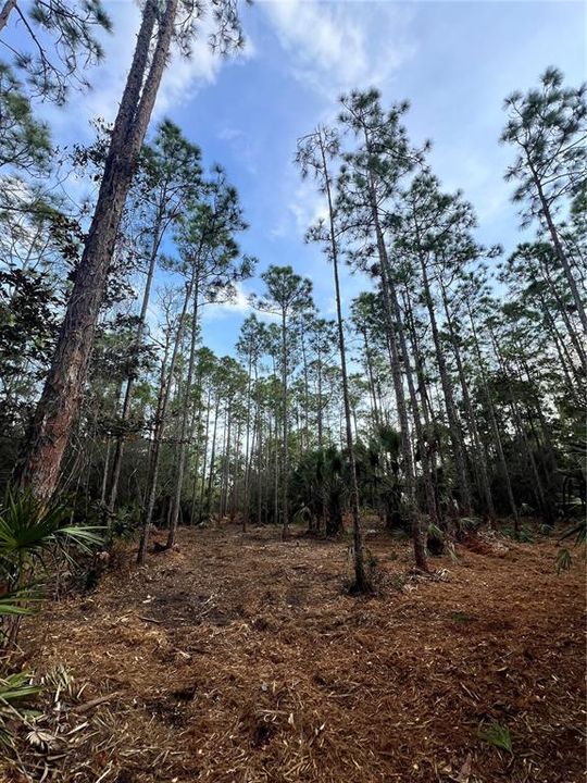 待售: $269,000 (5.00 acres)