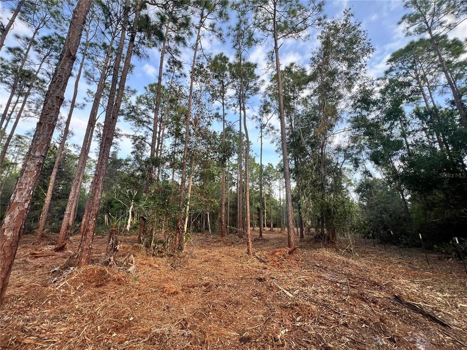 待售: $269,000 (5.00 acres)