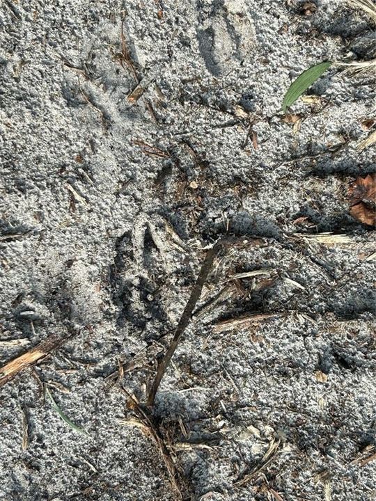 待售: $269,000 (5.00 acres)