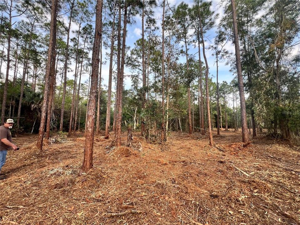 待售: $269,000 (5.00 acres)