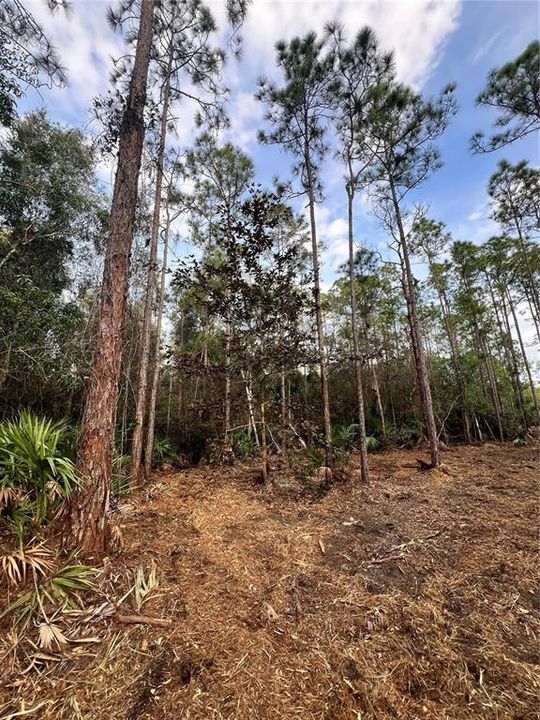 待售: $269,000 (5.00 acres)