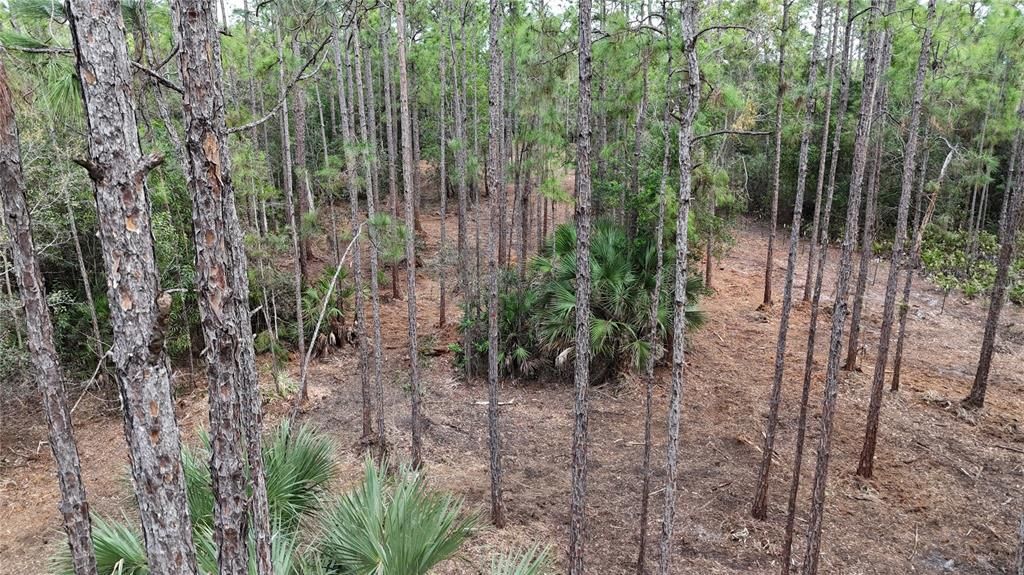 待售: $269,000 (5.00 acres)